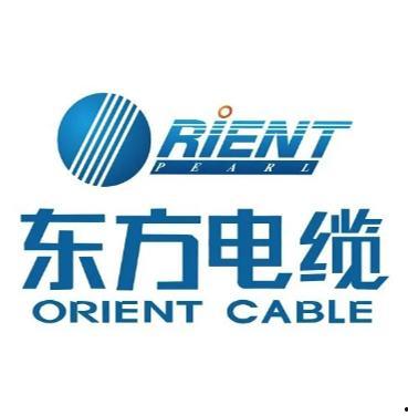 东方电缆最新爆料,揭秘行业新动态与技术创新 第1张 东方电缆最新爆料,揭秘行业新动态与技术创新 第1张