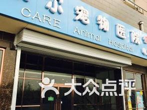 保定宠物店爆料视频,揭秘宠物行业背后真相 第2张 保定宠物店爆料视频,揭秘宠物行业背后真相 第2张