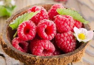 树莓最新爆料视频,揭秘神秘功能与惊艳外观 第1张 树莓最新爆料视频,揭秘神秘功能与惊艳外观 第1张